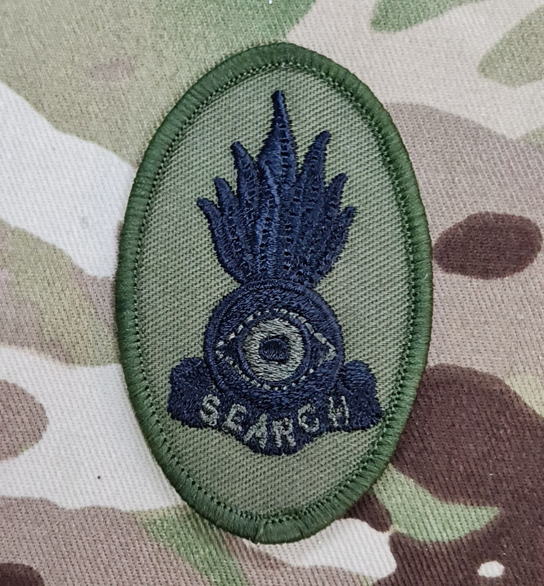 RE Subdued Search Team Combat Subdued Qualification Badge