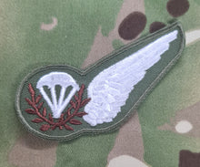 Load image into Gallery viewer, Parachute Jump Instructor (PJI) Brevet Subdued Badge (olive / mtp colour)

