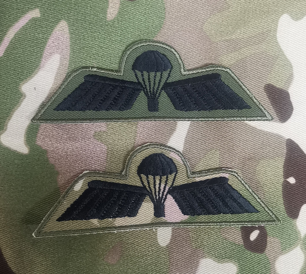 Netherlands / Dutch Airborne Parachutist Qualification Wings - Basic / B Wing