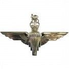 Parachute Regiment Cap Badge EIIR