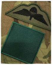 Load image into Gallery viewer, 3 Para DZ / Wings Sewn PCS Patch Subdued
