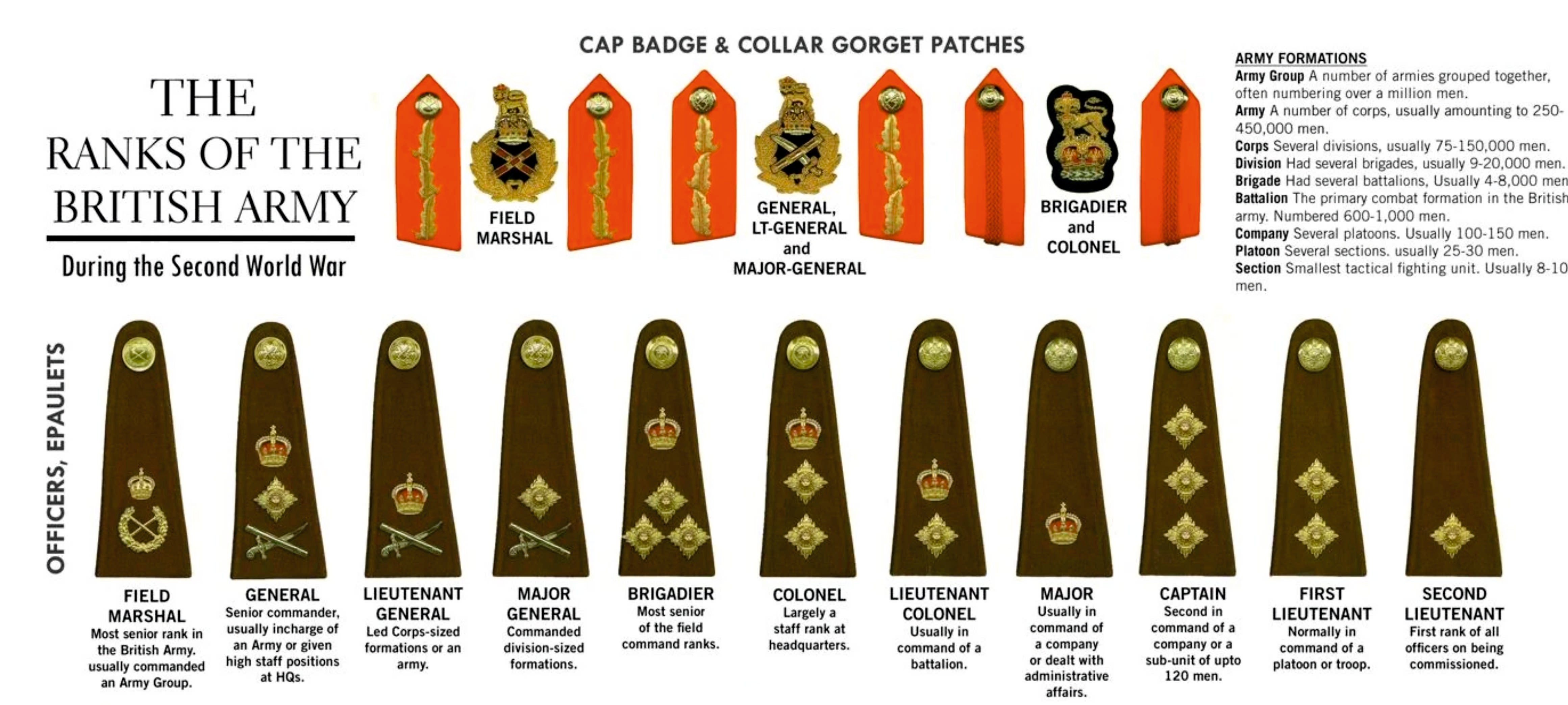 British Army officer rank structure Explained – hanger39colchester