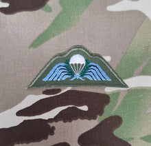 Load image into Gallery viewer, New Zealand Parachutist Qualification Jump Wing / Brevet Fabric Badge / Patch
