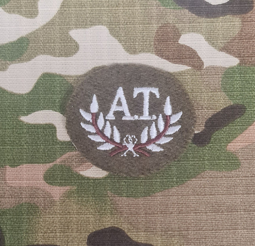 Anti-Tank (AT) No2 Dress Infantry Qualification Badge