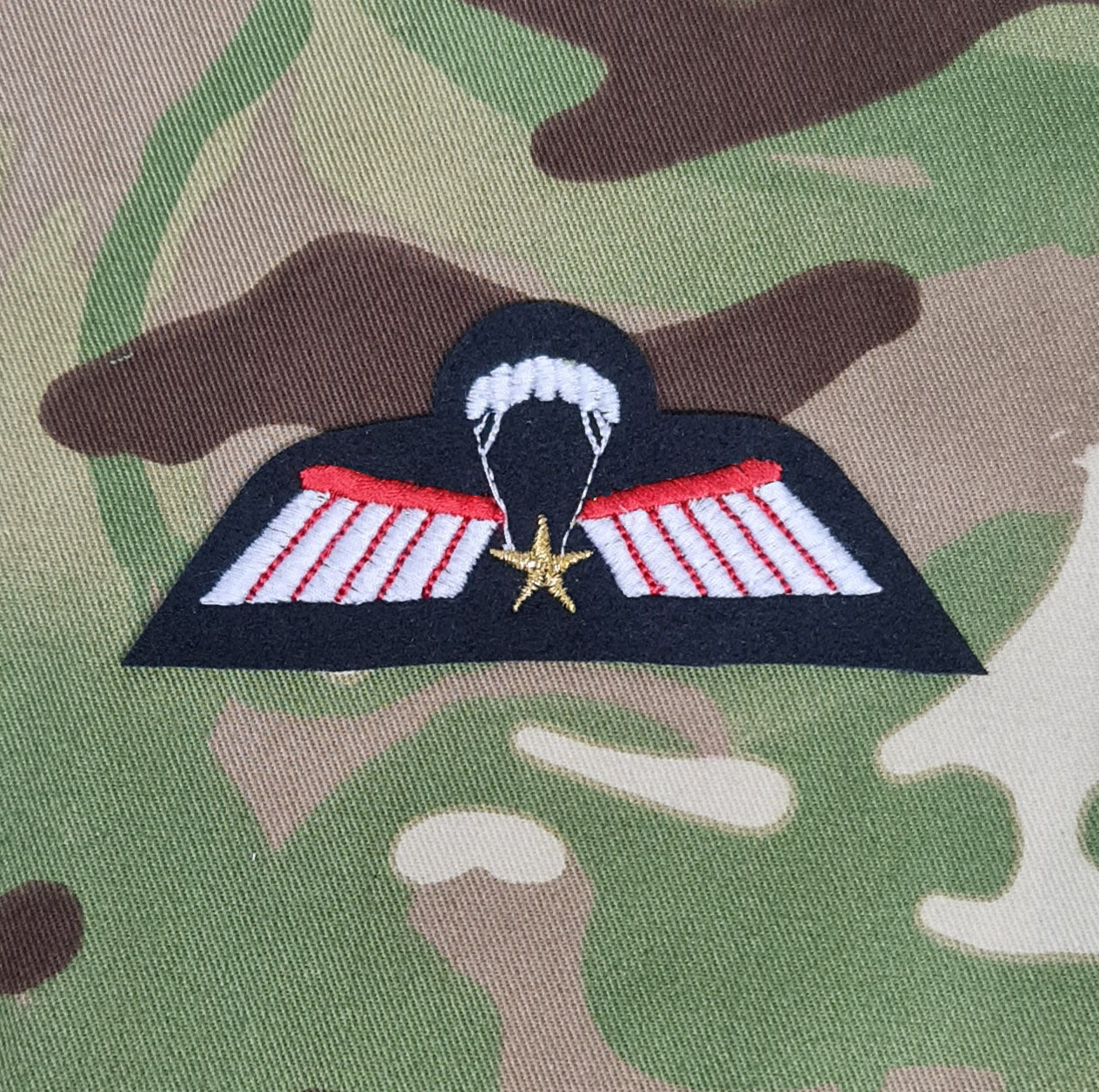 Netherlands / Dutch Airborne Parachutist Qualification Wings - Brevet ...