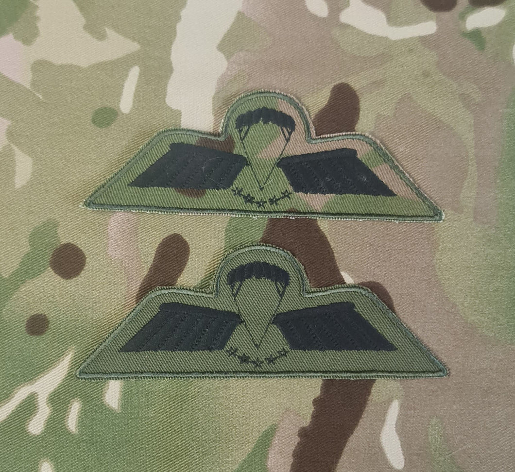 Netherlands / Dutch Airborne Parachutist Qualification Wings - Brevet / D Wing (HALO/HAHO)(Subdued - Olive / MTP)