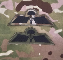 Load image into Gallery viewer, Netherlands / Dutch Airborne Parachutist - Basic / B Wing Badge - Qualification Jump Wing / Brevet Fabric Badge / Patch
