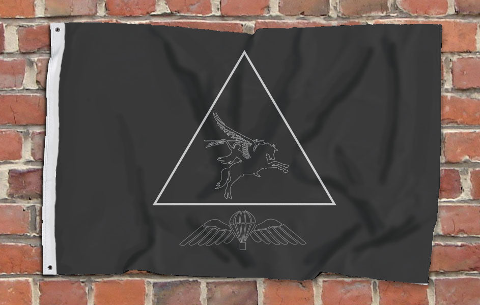 Fully Printed Flag - 616 TACP / 7 RHA