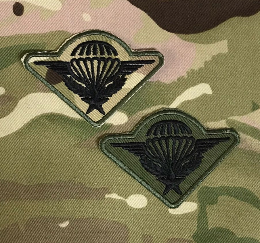 French Airborne Forces / Parachutist Qualification Wings