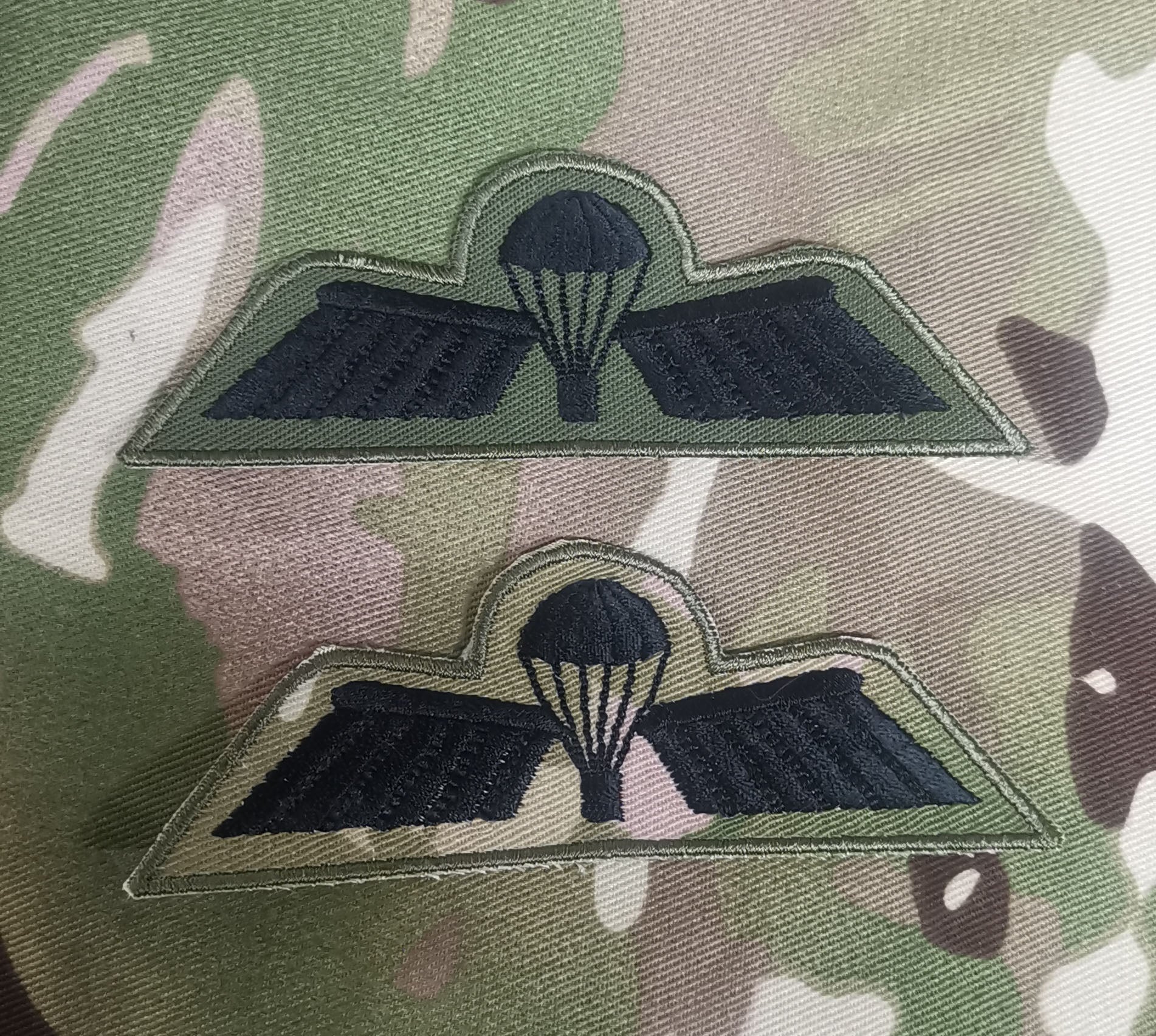 Netherlands / Dutch Airborne Parachutist Qualification Wings - Basic ...