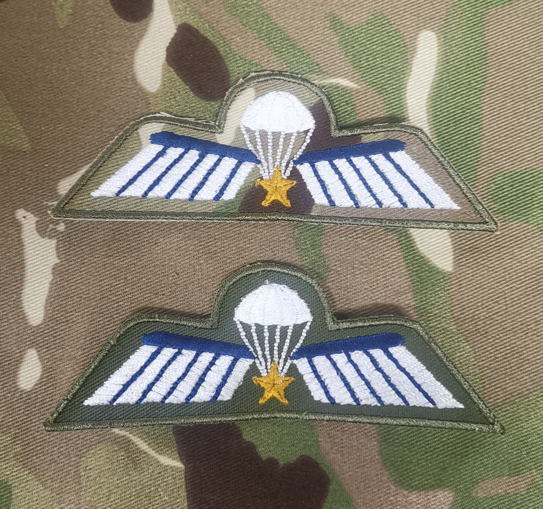 Netherlands / Dutch Airborne Parachutist Qualification Wings - Advanced / A Wing (Colour)