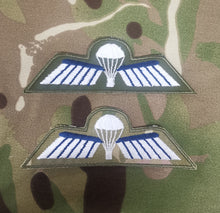 Load image into Gallery viewer, Netherlands / Dutch Airborne Parachutist Qualification Wings - Basic / B Wing (Colour)
