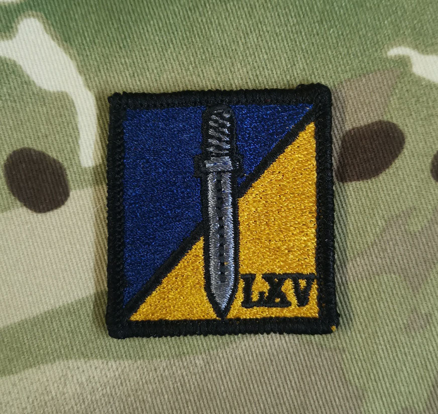 65 Sqn RLC Tactical Recognition Flash TRF / DZ Badge