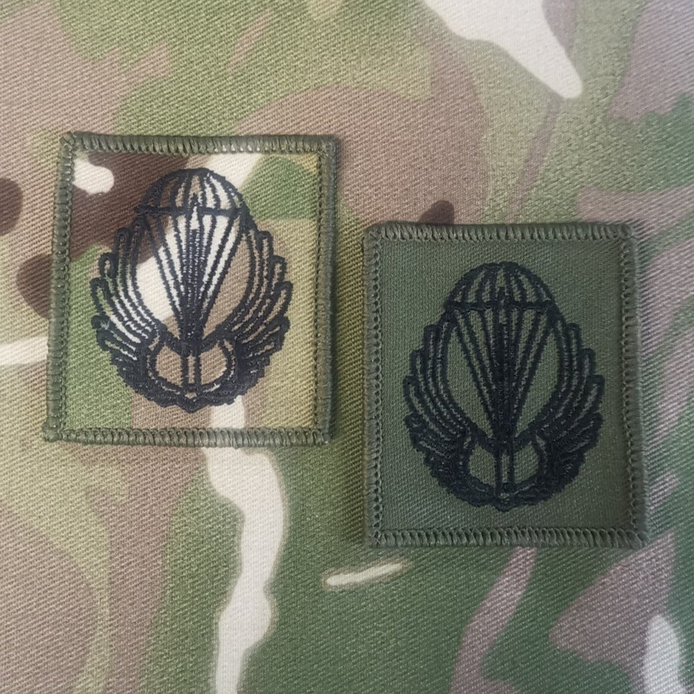 Romania / Romanian Airborne Parachutist Qualification Wings Cloth - Variation batalionul 495 parasutisti