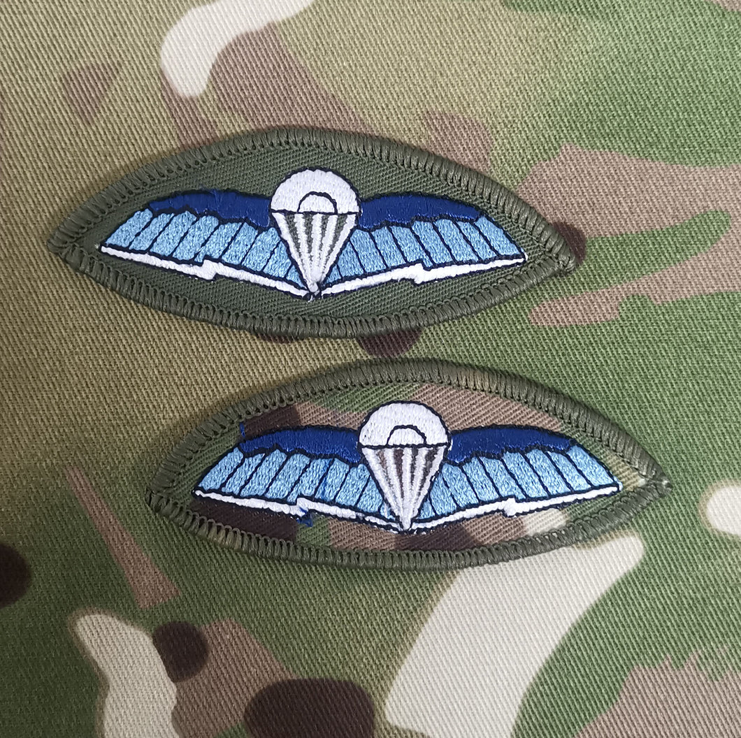 Colour 18 Signal Regiment / Communicator Wings SFC