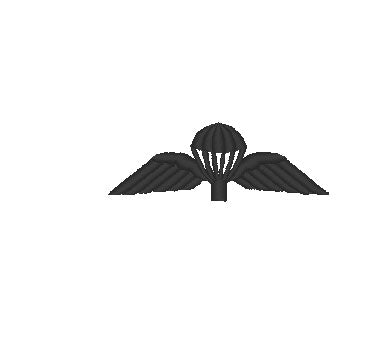 Embroidered Design - Choose your Garment -  Subdued Black British Parachute jump wings