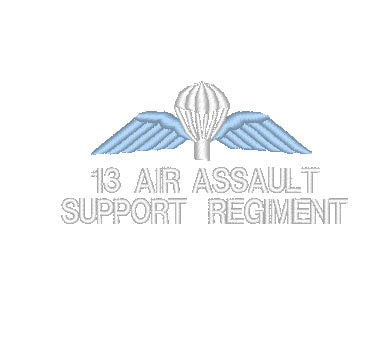 Embroidered Design - Choose your Garment -  13 AASR Airborne Parachutist Wings