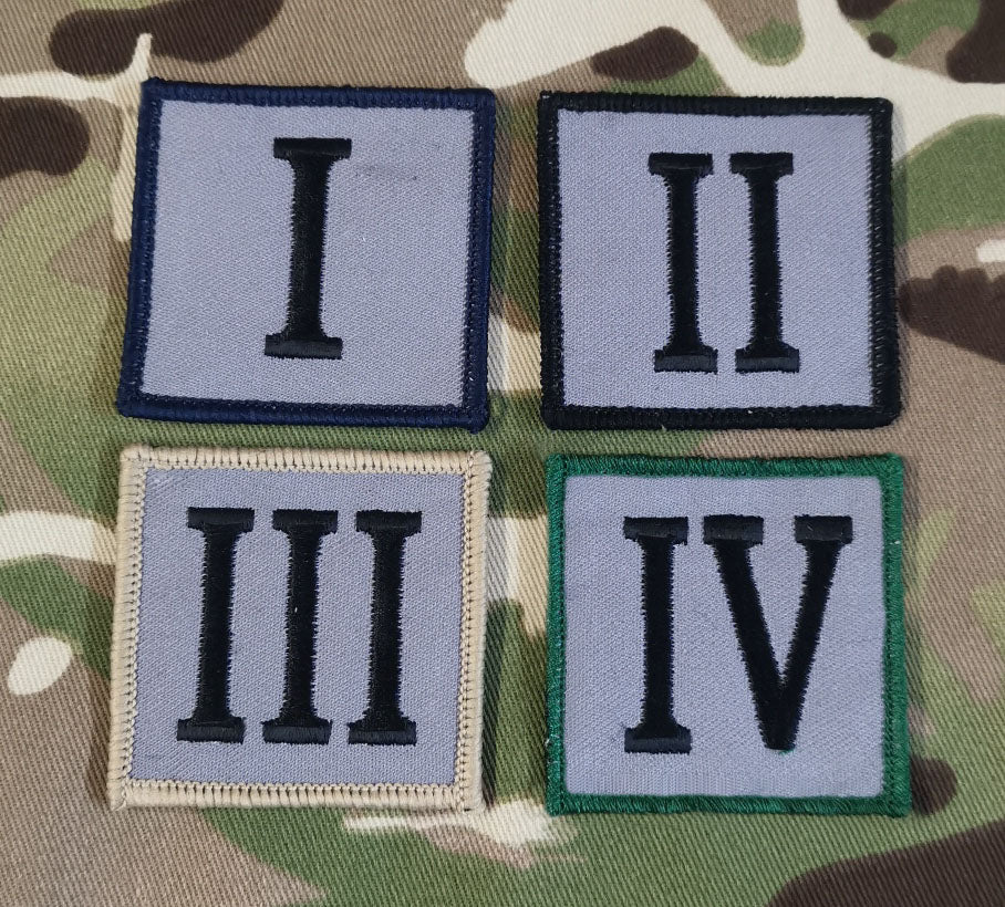 Ranger Regiment (TRF) Tactical Recognition Flash / Embroidered / Badge Numeral Patch ( Battalion)