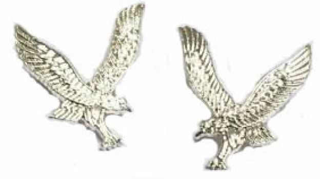 Army Air Corps AAC Other Ranks Collar Badge