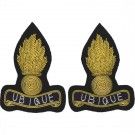 RE Officers Collar Badges