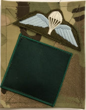 Load image into Gallery viewer, 3 Para DZ / Wings Sewn PCS Patch
