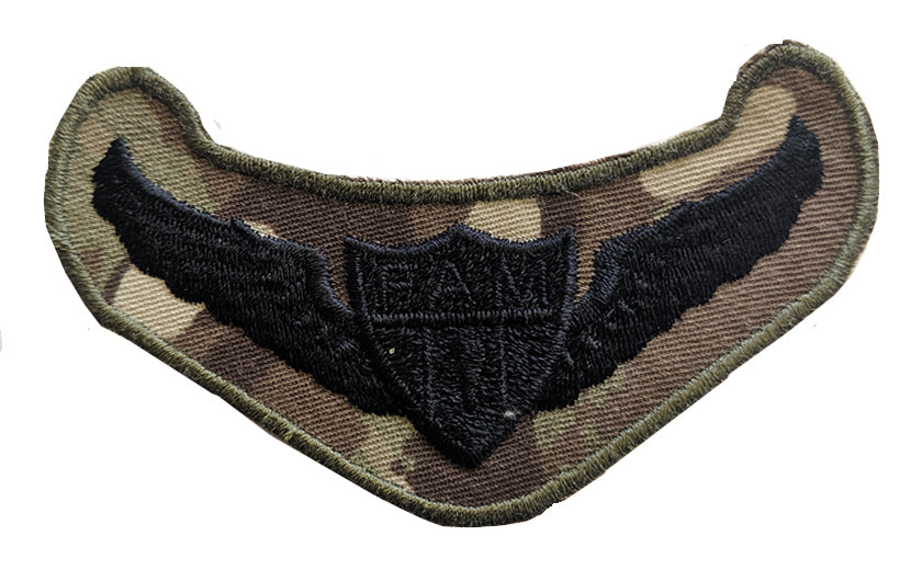 Brigada de Fusileros Paracaidistas Mexican/Mexico Airborne Parachutist Wings badge / patch