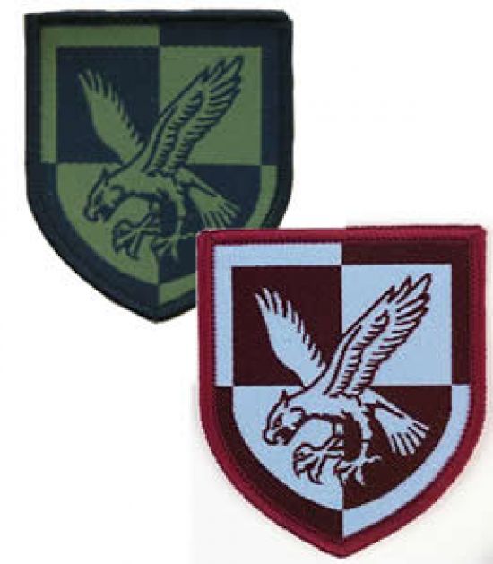Old 16 Air Assault Brigade Badge