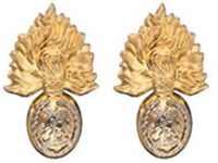 Load image into Gallery viewer, Royal Regiment of Fusiliers O R Collar Badge

